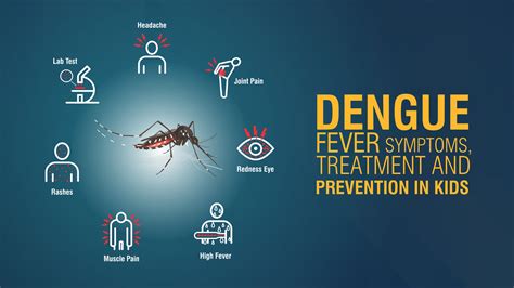 best treatment for dengue fever in chennai